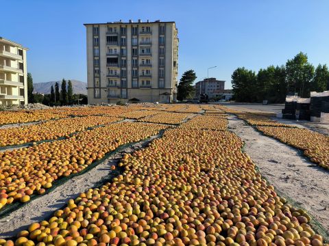 Doğanşehir'de sergen zamanı başladı